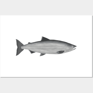 Sockeye Salmon - Ocean Phase Posters and Art